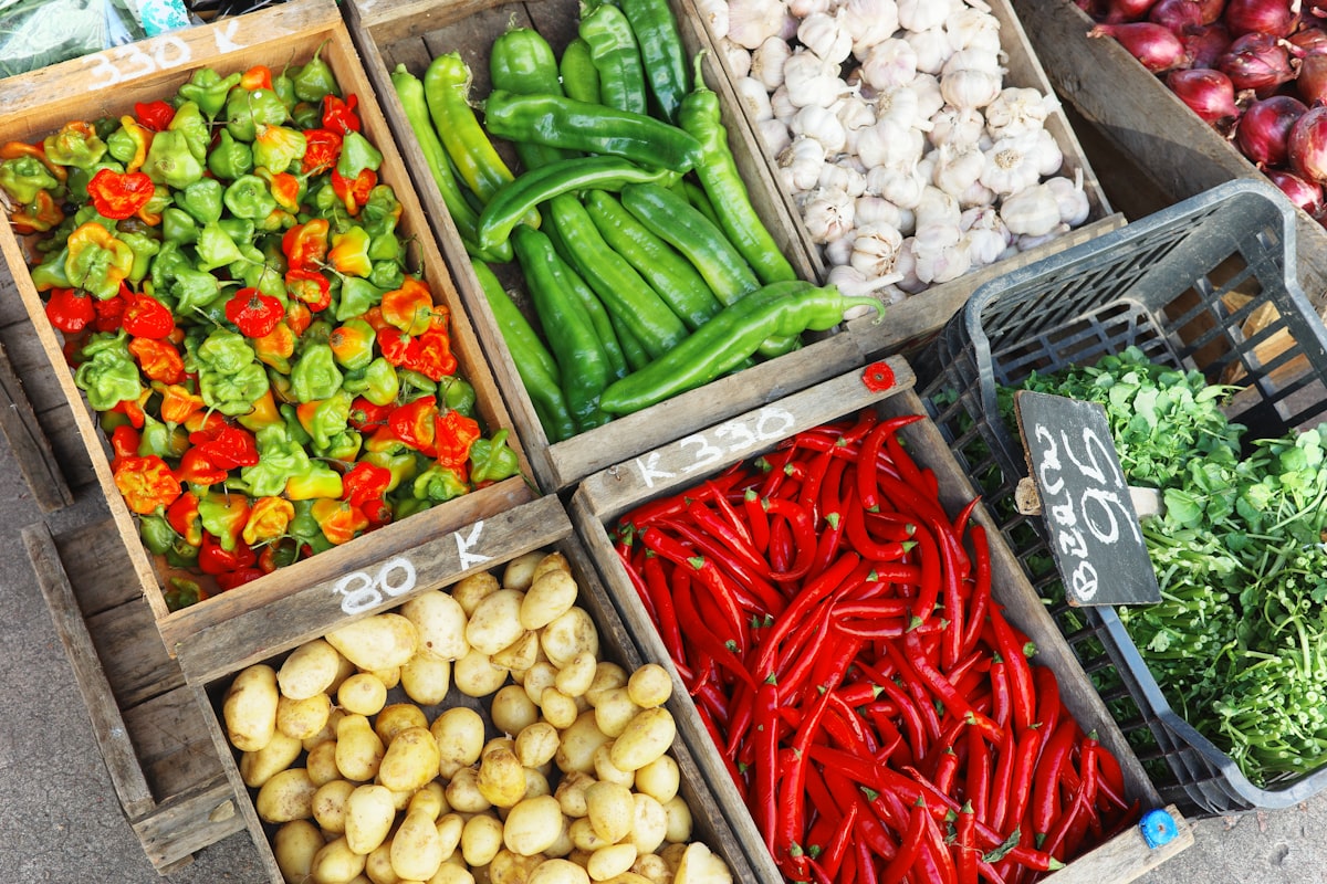 Légumes verts du printemps