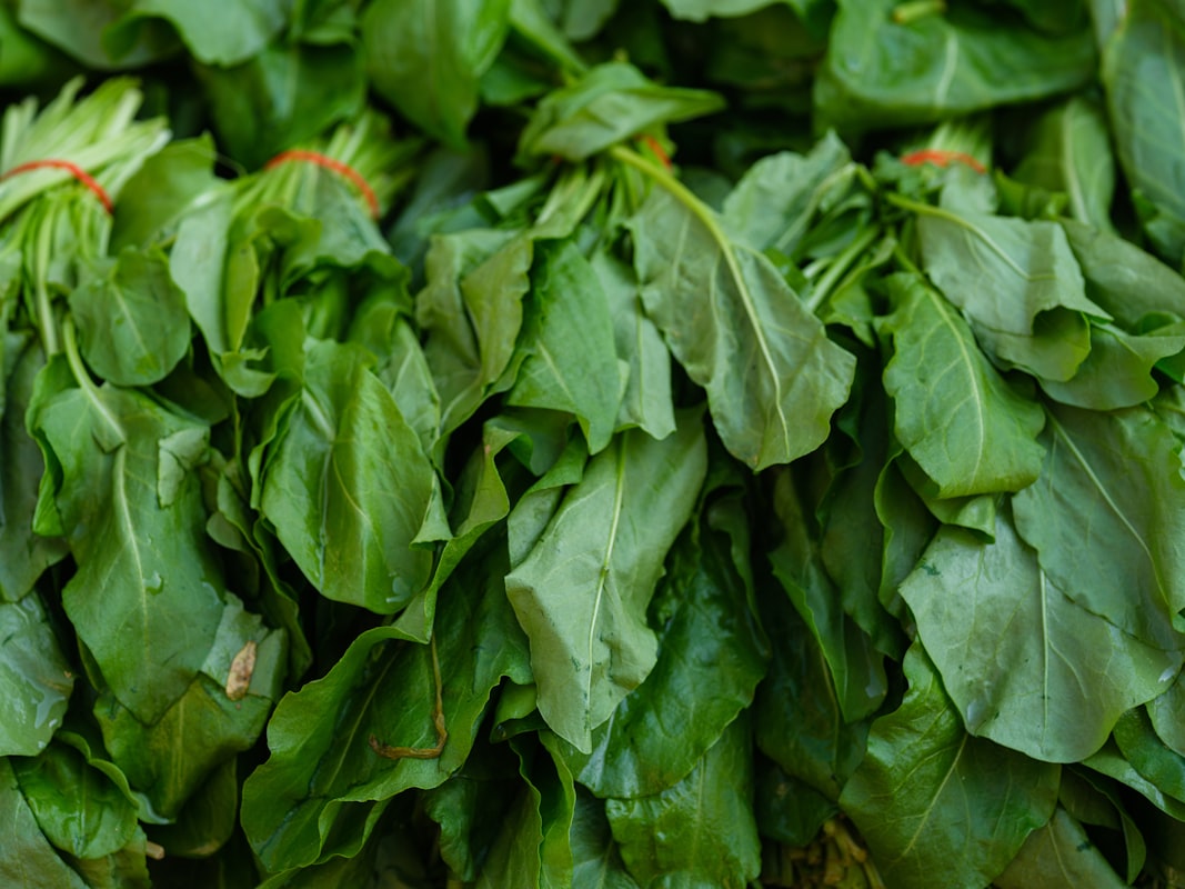 Wissenschaftliche Forschung an Superfood-Extrakten